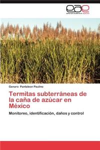 Termitas Subterraneas de La Cana de Azucar En Mexico