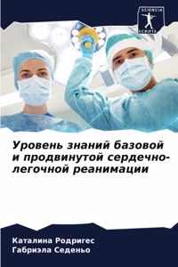 Уровень знаний базовой и продвинутой серд
