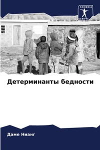 Детерминанты бедности