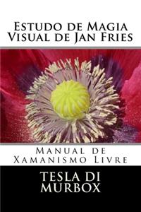 Estudo de Magia Visual de Jan Fries