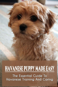 Havanese Puppy Made Easy
