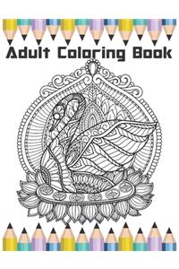 Adult Coloring Book