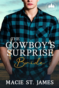 The Cowboy's Surprise Bride