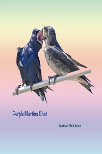 Purple Martins Chat