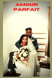 Amour parfait (vol 6)