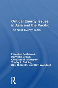 Critical Energy Issues In Asia And The Pacific