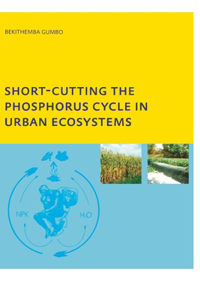 Short-cutting the Phosphorus Cycle in Urban Ecosystems