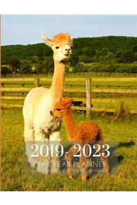 2019-2023 Five Year Planner Llama Goals Monthly Schedule Organizer