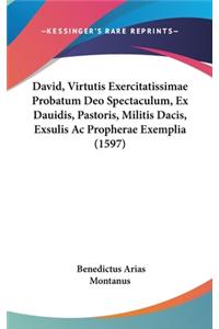 David, Virtutis Exercitatissimae Probatum Deo Spectaculum, Ex Dauidis, Pastoris, Militis Dacis, Exsulis AC Propherae Exemplia (1597)