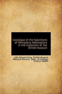 Catalogue of the Specimens of Hemiptera Heteroptera in the Collection of the British Museum