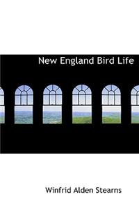 New England Bird Life