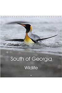 South of Georgia Wildlife 2018