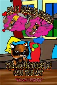 Adventures of Cali the Cat, Cali's Missing Human