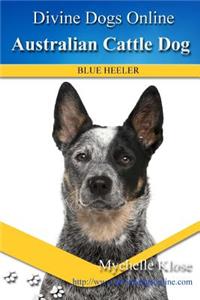 Australian Cattle Dogs