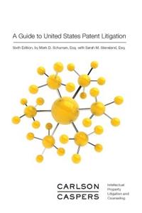 Guide to United States Patent Litigation