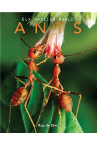 Ants