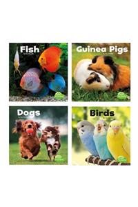 Our Pets