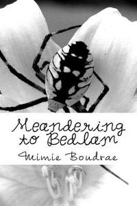Meandering to Bedlam