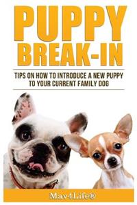 Puppy Break-In