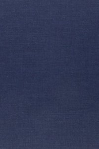The Madman and the Pirate by R.M. Ballantyne, Fiction, Action & Adventure