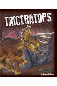 Triceratops