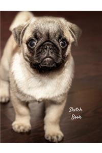 Sketch Book