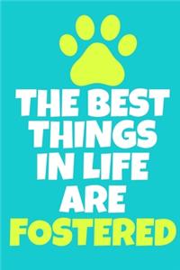 The Best Things In Life Are Fostered