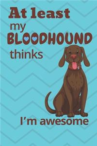 At least My BloodHound thinks I'm awesome
