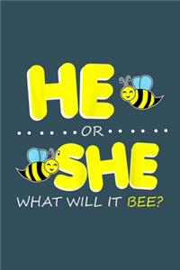 He or She what will it bee