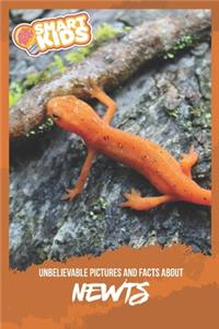 Unbelievable Pictures and Facts About Newts