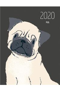 2020 Pug
