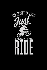 The secret of life just enjoy the ride