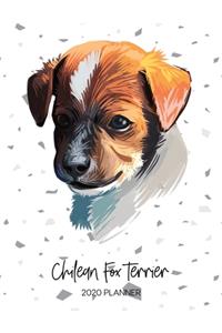 Chilean Fox Terrier 2020 Planner