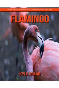 Flamingo! Learn about Flamingo and Enjoy Colorful Pictures