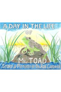A Day in the Life of Mr. Toad