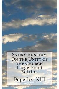 Satis Cognitum On the Unity of the Church