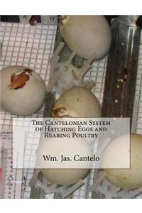Cantelonian System of Hatching Eggs and Rearing Poultry