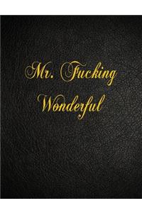 Mr. Fucking Wonderful