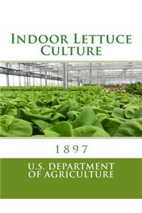Indoor Lettuce Culture
