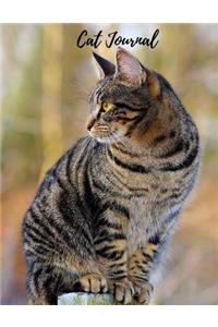 Cat Journal