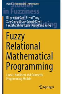 Fuzzy Relational Mathematical Programming