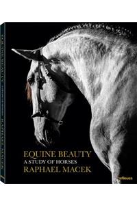 Equine Beauty