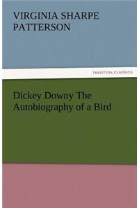 Dickey Downy the Autobiography of a Bird