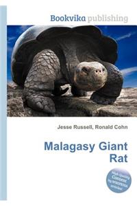 Malagasy Giant Rat