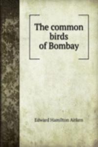 common birds of Bombay