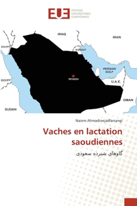 Vaches en lactation saoudiennes