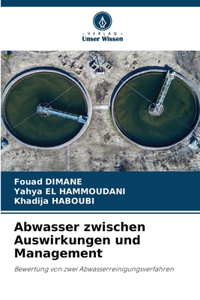 Abwasser zwischen Auswirkungen und Management