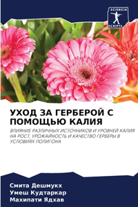 УХОД ЗА ГЕРБЕРОЙ С ПОМОЩЬЮ КАЛИЯ