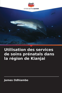 Utilisation des services de soins prénatals dans la région de Kianjai