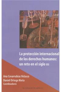 La Proteccion Internacional de Los Derechos Humanos